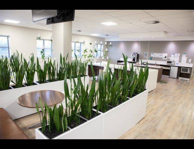 12,465M² BUSINESS CENTRE FOR SALE IN CONSTANTIA KLOOF